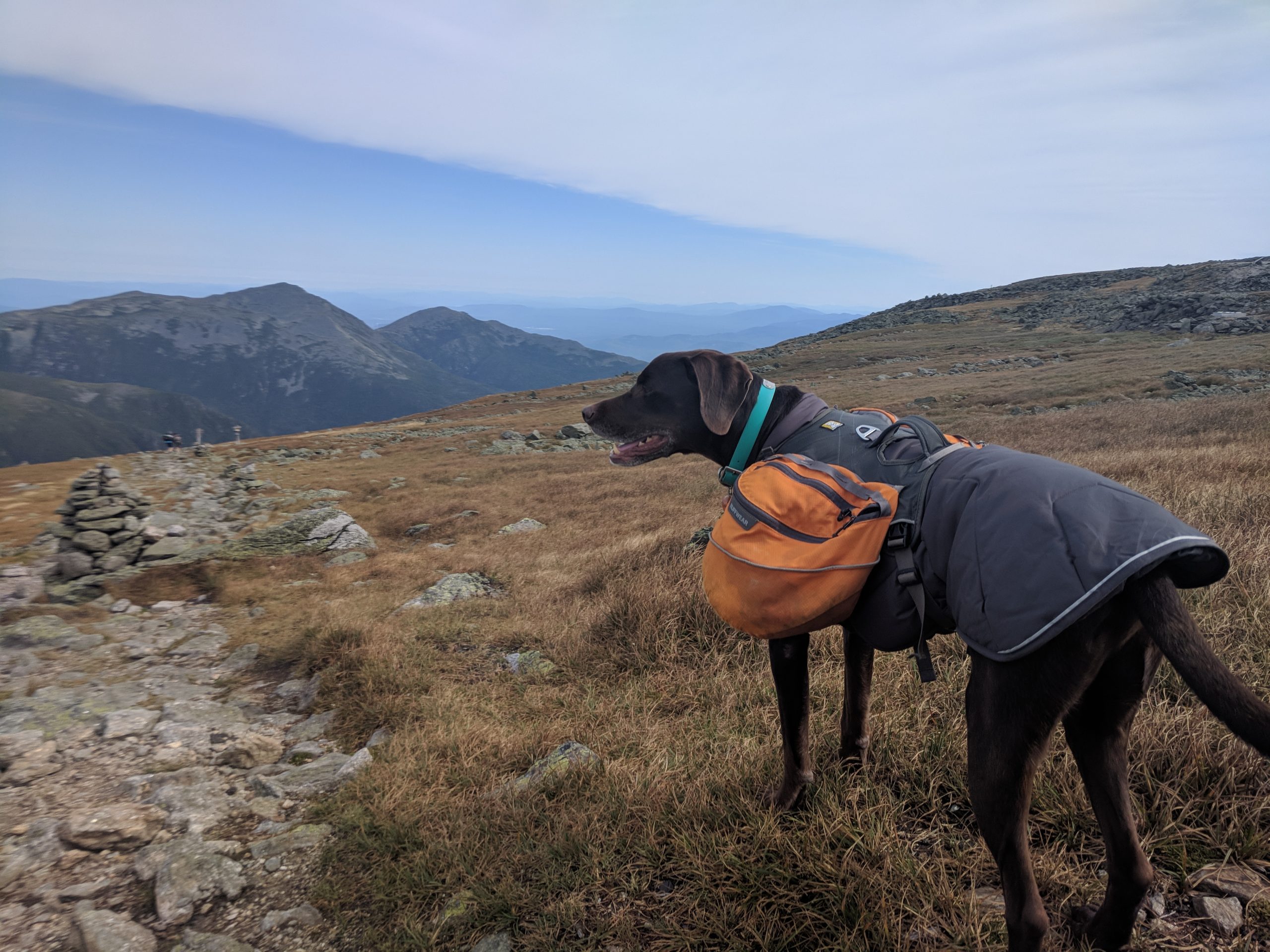 Backpacking on the Appalachian Trail with Toby