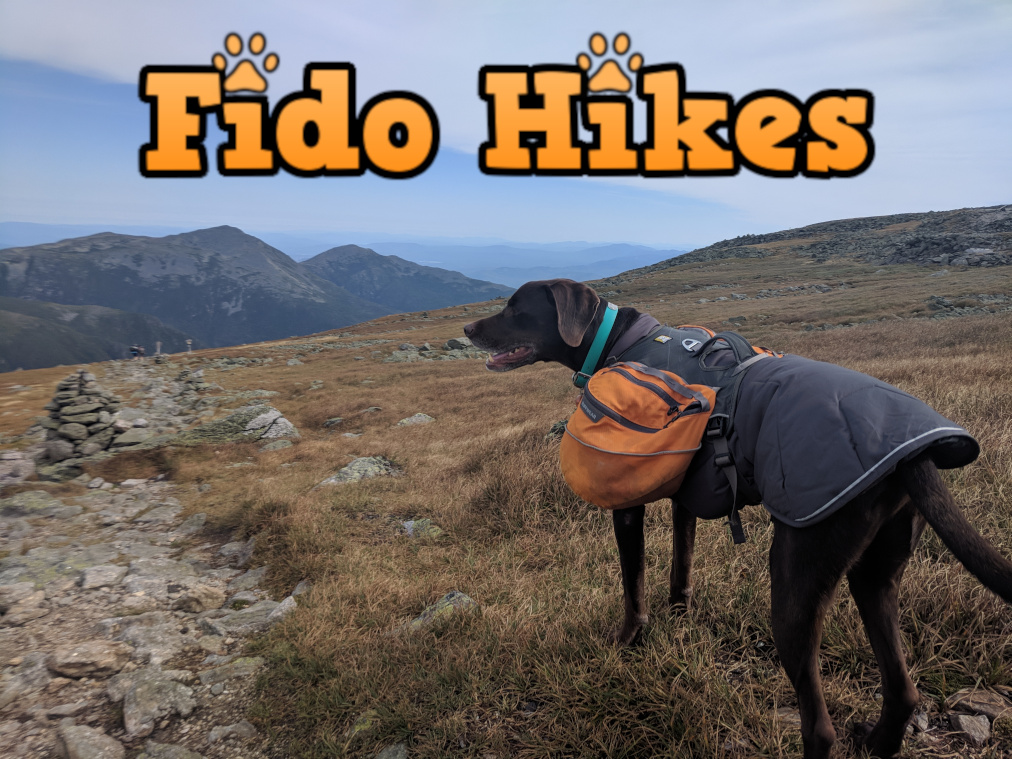 Toby on the Appalachian Trail