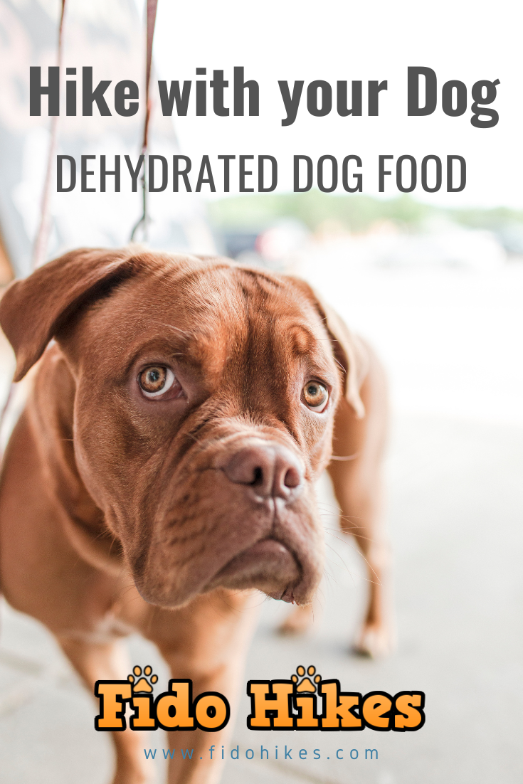 The Honest Kitchen Dehydrated Dog Food Review: Trail-Tested on the AT
